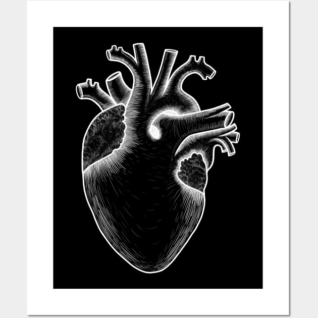 Human heart anatomy, I love my heart Wall Art by Artardishop